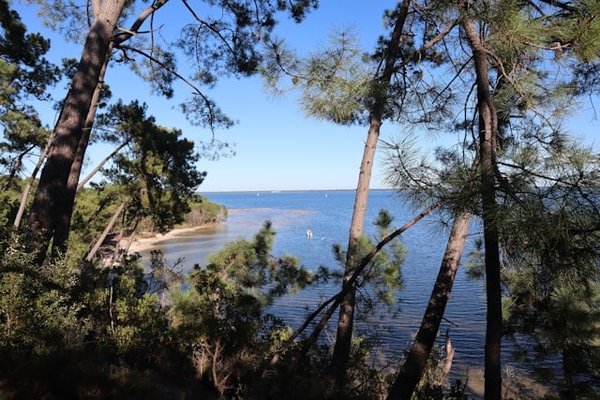 Guide ultime : Choisir le meilleur camping à Hourtin pour des vacances inoubliables